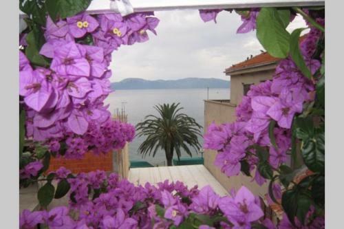 Apartman Graciela Perfect Location Gradac