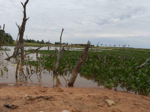 Caba�a En Ituzaingo