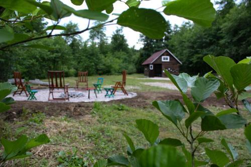 Robinson Camp "zeleni Mir"