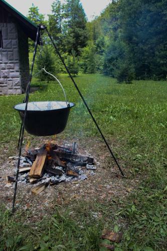 Robinson Camp "zeleni Mir"