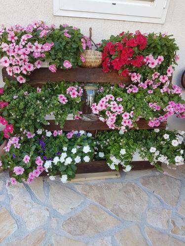 Apartamento Vila Damir