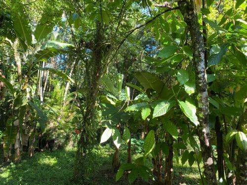 Ch�cara - Caiubura Bertioga