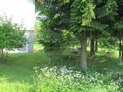 Hostal Apartments Natasa
