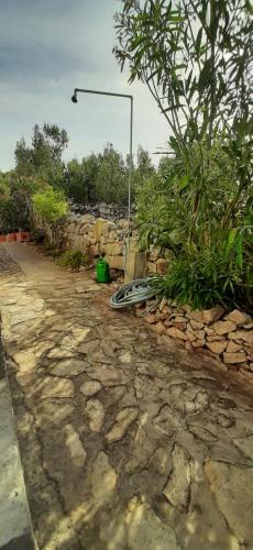 Holiday Home Zeljana