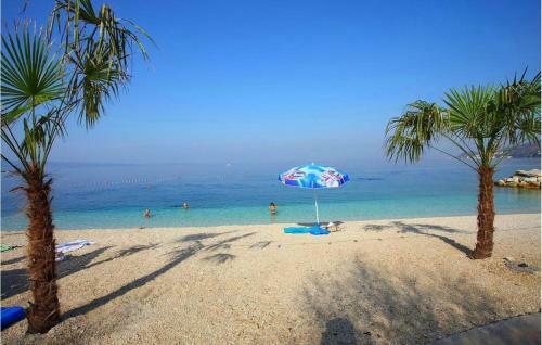 Apartments 20 Meters From The Beach