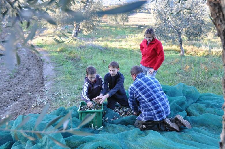 Agroturismo Vitabella Palazzetto