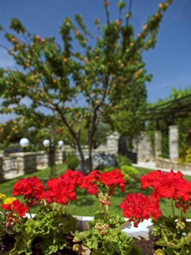 Casa Rustica Dva Baladura B&B