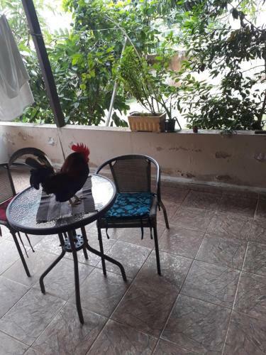 Kit T�rrea Em Condom�nio