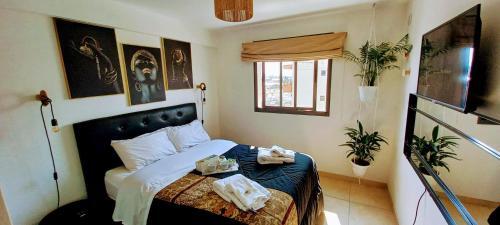 Apartamento Alto Tucum�n