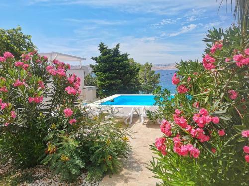 Beachfront Apartments Anita With Heated Pool