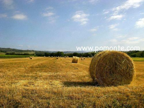 Agroturismo Il Girasole Terzuolo