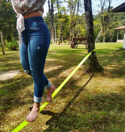 Magia Das Hort�nsias