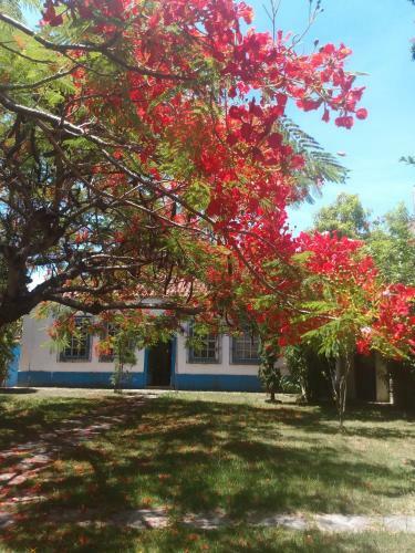Casa Da Ilha