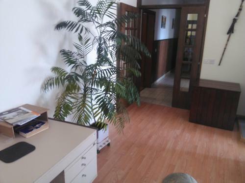 Apartamento Viki