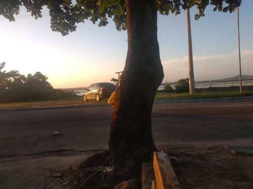 M�rcia Aluguel Temporada