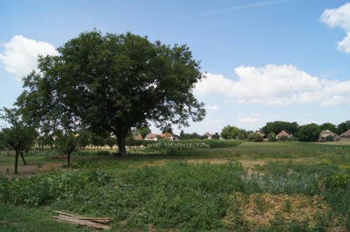 Hostal Guest House Stara Baranja