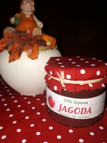 Opg Dijana