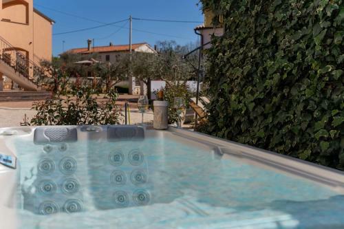 Apartamento Oliva Viridi