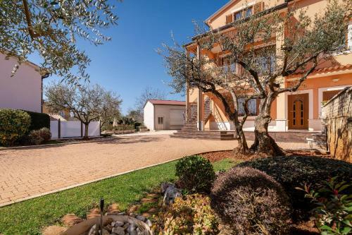 Apartamento Oliva Viridi
