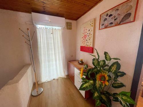 Apartman Penava