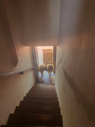 Apartamento R�stico