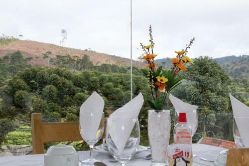 Posada Pousada Dos Pinguins Campos Do Jord�o