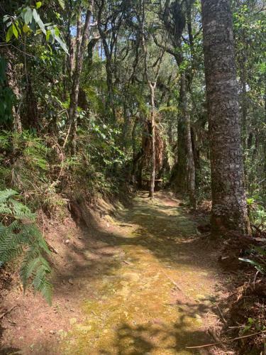 Chal� Arauc�ria Campos Do Jordao