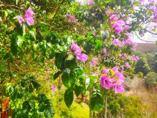 Albergue Col�nia Saa - Shangril�