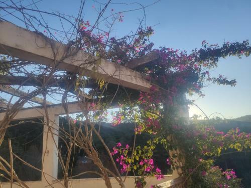 Albergue Col�nia Saa - Shangril�