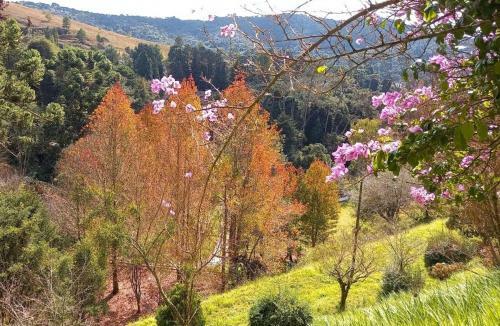 Albergue Col�nia Saa - Shangril�