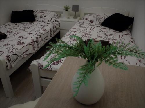 Apartments Medea