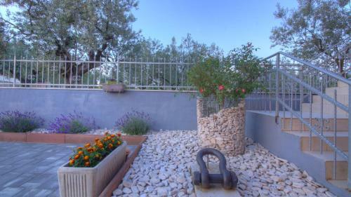 Apartamento Belvedere