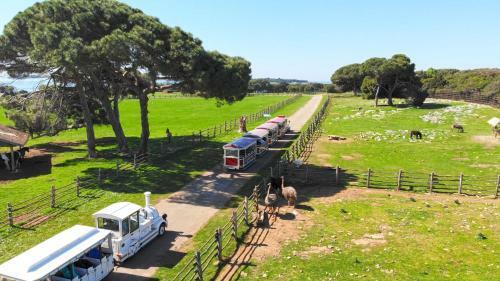 Brezac Olive Garden Apartment