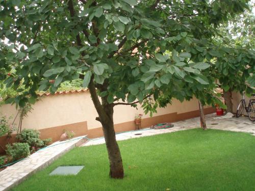 Apartamento Haus Milan Ap3