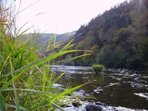 Bed & Breakfast La Buissonni�re