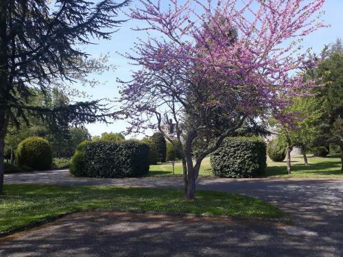 Hotel Ch�teau De La Colaissi�re