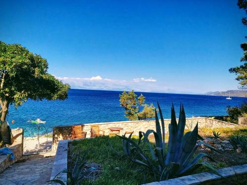 Apartamento Villa Hana Jelsa