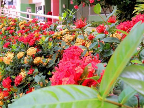 Vitoria Das Thermas - Apartamentos Para Temporada