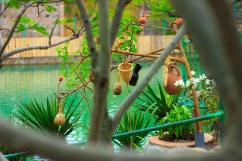 Hostal Amiran's Lake