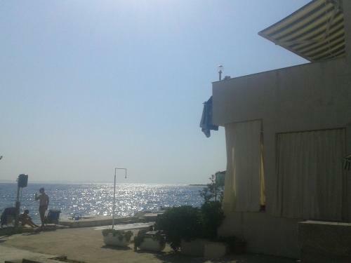 Apartments Toma Bajnice Directly