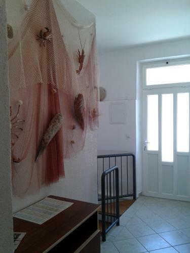 Apartments Toma Bajnice Directly