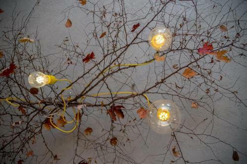Villa Yo