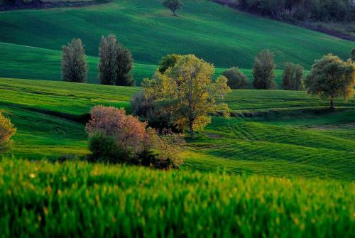 Bed & Breakfast Il Capuccio