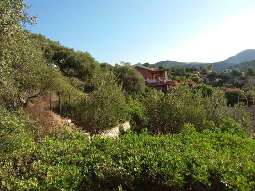 Villa Liliana P9275