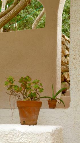 Villa Liliana P9275