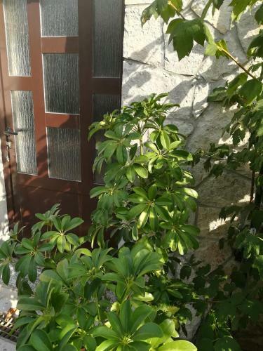 Apartman Nada