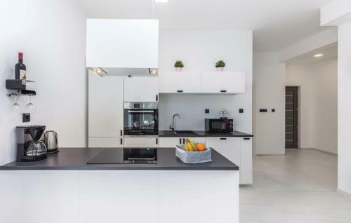Apartment Vidas