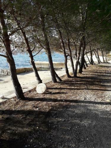 Apartamentos Villa Laurus
