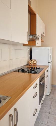 Apartman Puntica