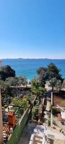 Apartman Puntica
